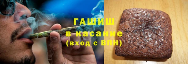 шишки Инта