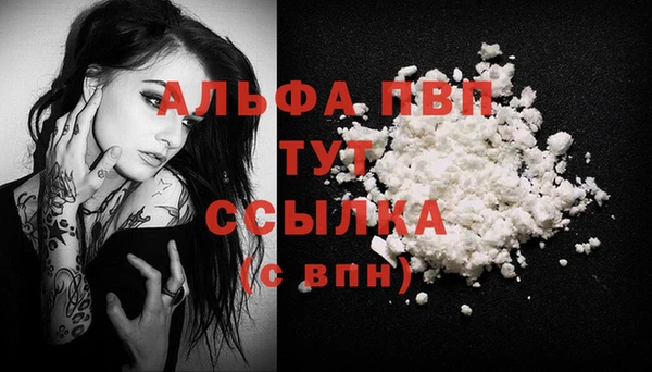 гашик Богданович