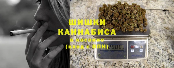 сатива Беломорск