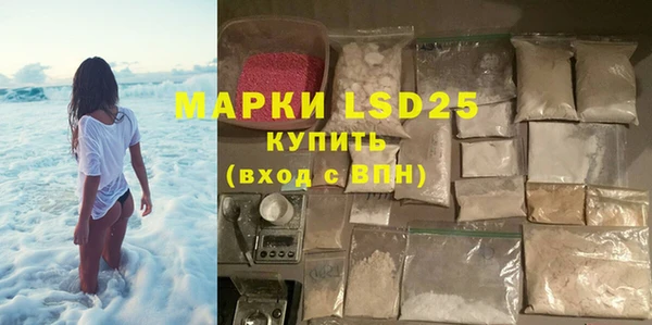 гашик Богданович