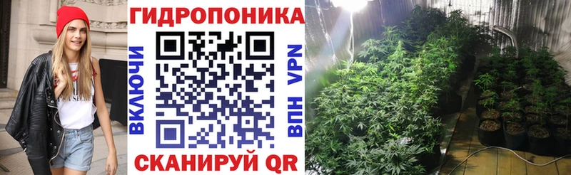 МАРИХУАНА семена  сколько стоит  Вельск 